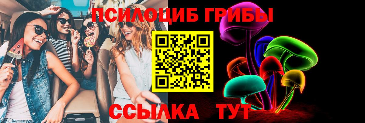где купить наркоту  Галлюциногенные грибы Magic Shrooms  Вход с VPN  Галлюциногенные грибы ЛСД  Сыктывкар 