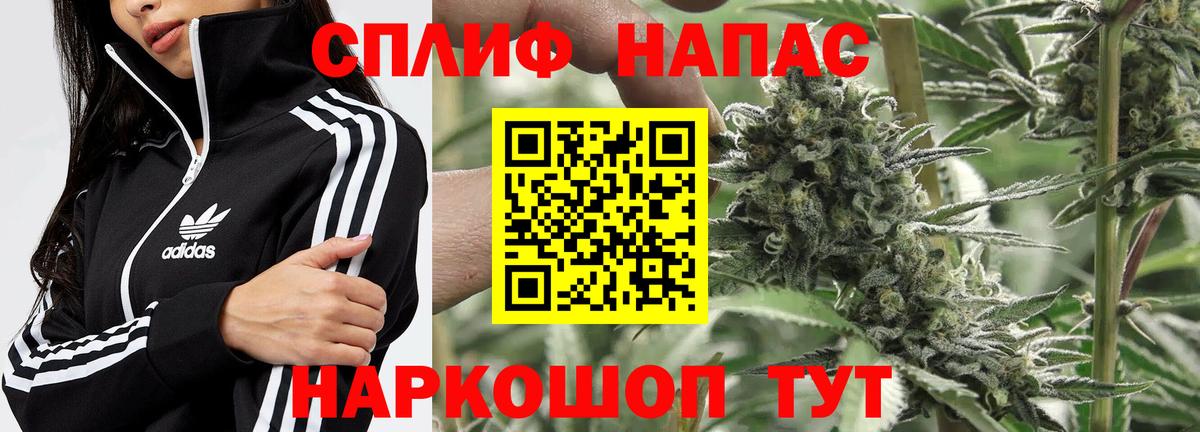 Бошки марихуана сатива Сыктывкар